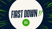 Nfl GIF by Seattle Seahawks