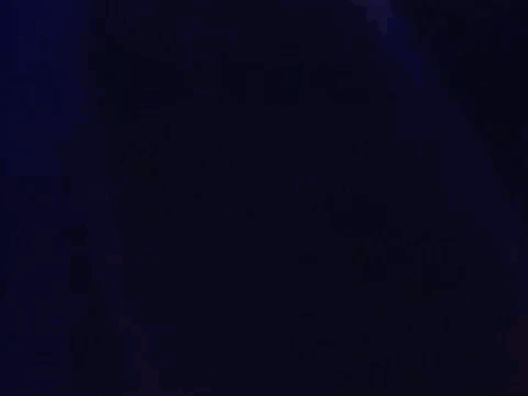 prince the question of u GIF