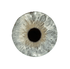 IrisFotoSchweiz giphyupload color photography eye Sticker