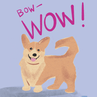 Bow Wow Omg GIF