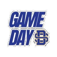 Dsa Athletics Sticker by Divine Savior Academy