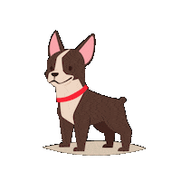 Cat Dog Sticker by Affinity