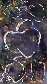 Art Satisfying GIF