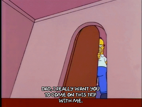 season 5 homer GIF