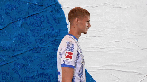 Bundesliga Berlin GIF by Hertha BSC