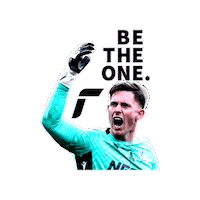 Champion Goalkeeper Sticker by Reusch