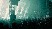 lights rave GIF by Insomniac Events