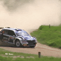 FIA-ERC crash roll rally offroad GIF