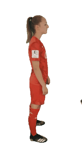 schanzerinnen giphyupload jubel dfb frauenfussball Sticker