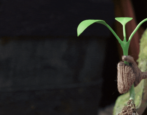 Excited Look At Me GIF by Tweedy & Fluff