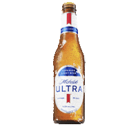 Beer Cheers Sticker by MichelobULTRA