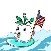 United States Nod Sticker by Magic Eden