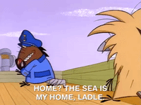 nickrewind nicksplat angry beavers GIF
