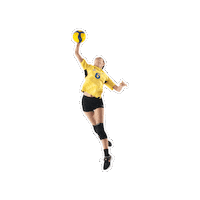 SalesianosPT volei jns24 Sticker