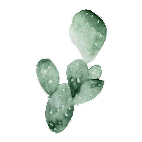 Cacti Sticker by Little Rae Prints