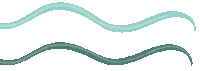 Waves Line Sticker