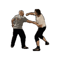 Punsh Sticker by Kampfkunstschule-SoWi