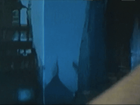 Footage Oaf GIF by jorgemariozuleta