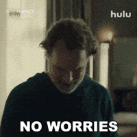 No Problem Brian GIF by HULU