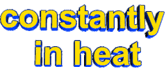 constantly in heat Sticker by AnimatedText