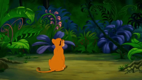 laysazanetti giphygifmaker the lion king simba hakuna matata GIF