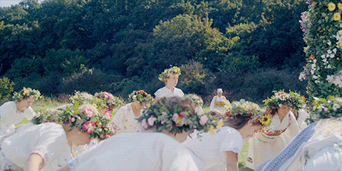 Summer Flowers GIF by A24