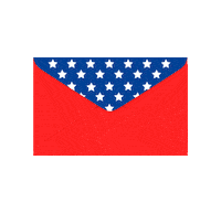 Register To Vote 2020 Election Sticker by Clarín