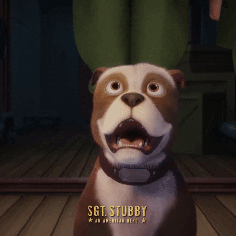 salute stubby GIF by Paramount Movies