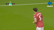 Premier League Football GIF by MolaTV