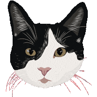 Cat Sticker