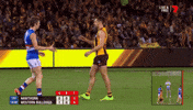 #afl #bob murphy #luke hodge #bulldogs #hawks GIF by AFL