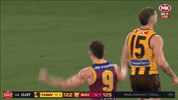 Brisbane Lions Winner GIF
