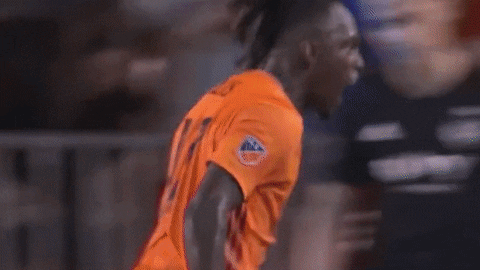 Major League Soccer Football GIF by Houston Dynamo