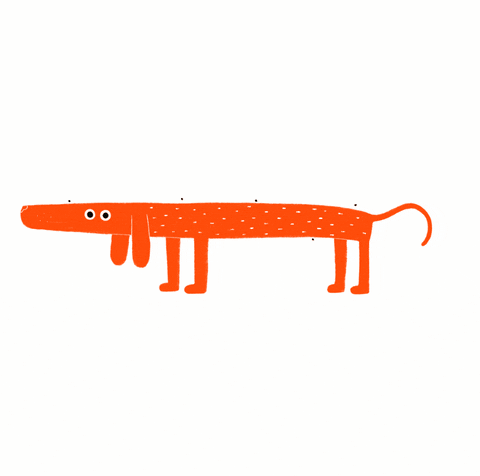 sciulaventura giphyupload animation dog procreate GIF