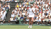 Grand Slam Sport GIF by Wimbledon