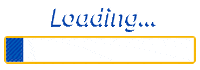 Visa_sa loading visasa Sticker