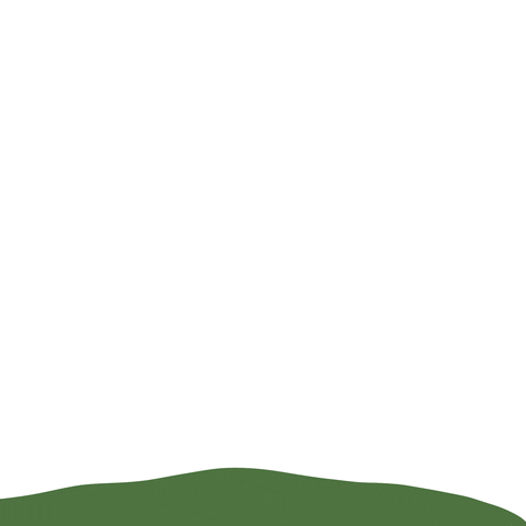 Bloom Springtime GIF