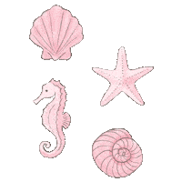 Vacation Ocean Sticker by Hamilton Princess, Bermuda, A Fairmont Managed Hotel