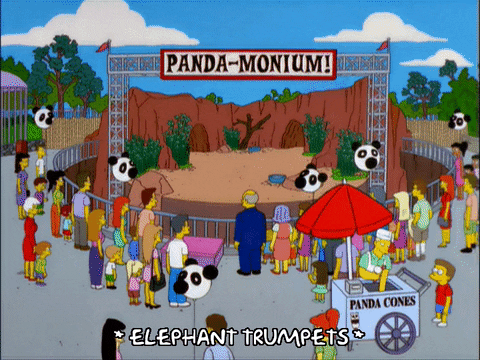 episode 5 panda GIF