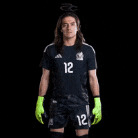 Fifa World Cup Mexico GIF by Respective