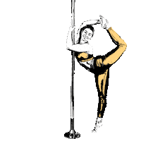 raistudiolt stretching poledance flexibility polesport Sticker