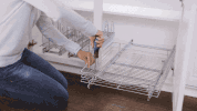 kitchen organization GIF by The Container Store