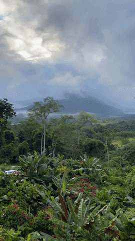 arnellelozada giphyupload environment tropical landscape GIF