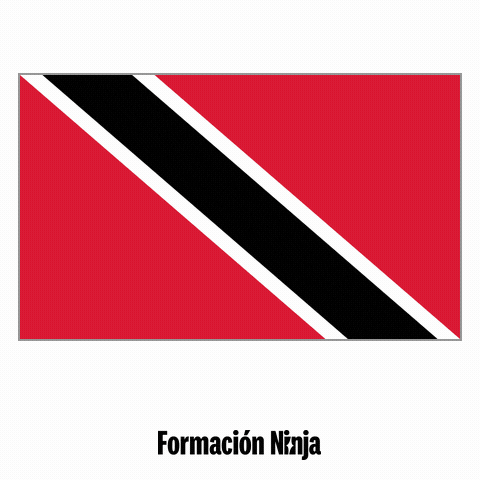 Trinidad And Tobago Flag GIF by Formación Ninja