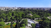 Syria GIF