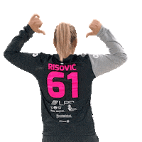 Handball Slovenia Sticker by RK Krim