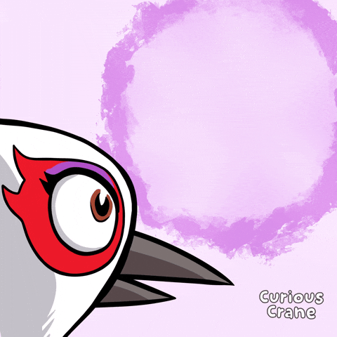 Oh My Wow GIF by VeeFriends