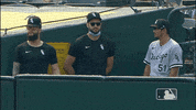 Major League Baseball Sport GIF by MLB
