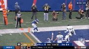 Football Sport GIF by NFL