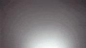 toddygear GIF by Toddy Promo